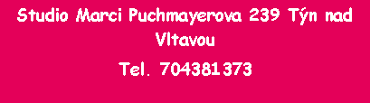 Textové pole: Studio Marci Puchmayerova 239 Týn nad Vltavou Tel. 704381373